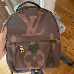 Louie Vuitton backpack, never used.